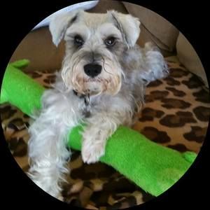 Meet your Posher, Kimmer